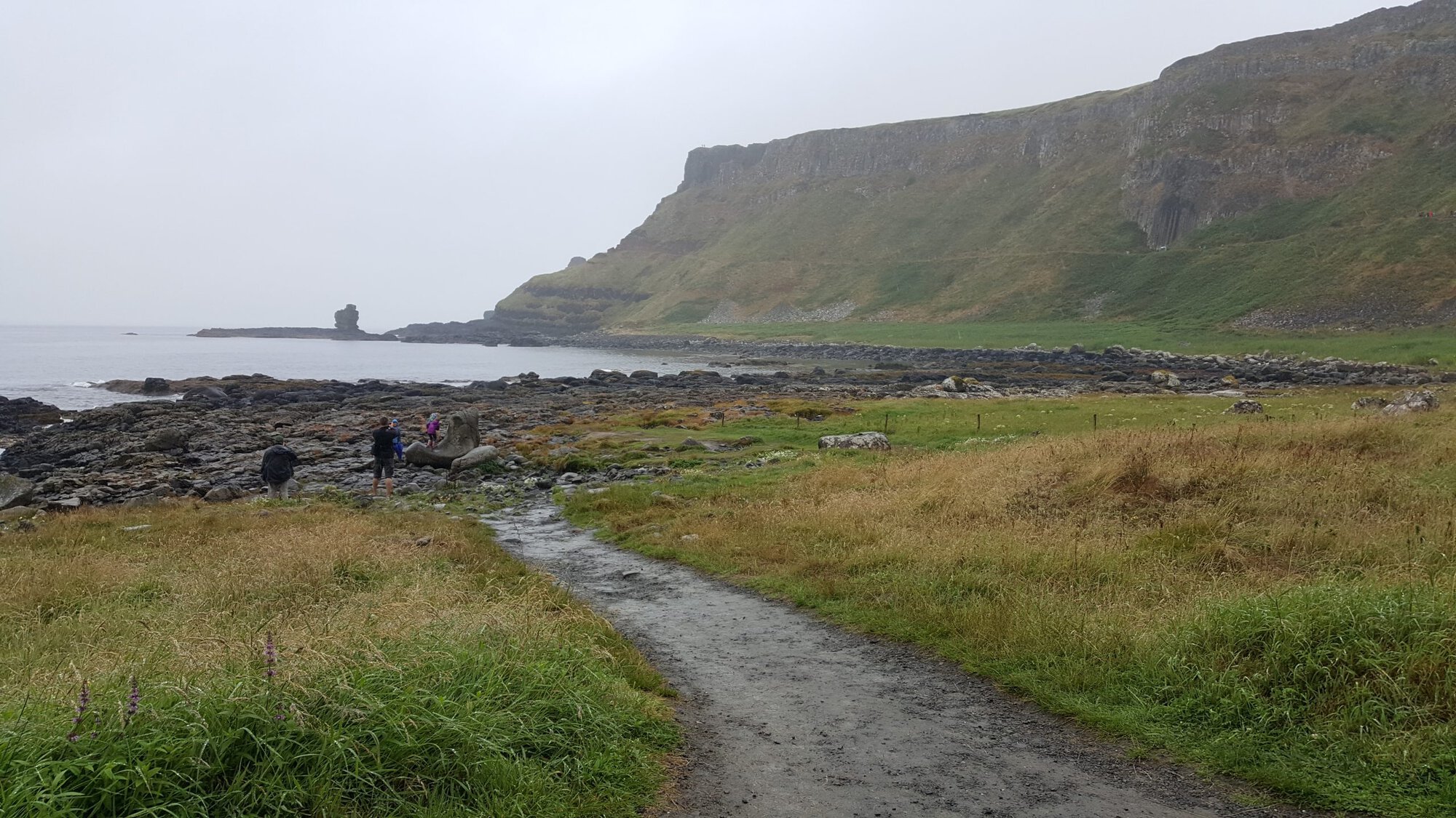 path leading to a rocky beach with cliff in the background