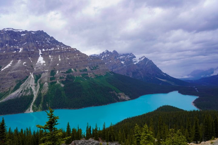 Peyto Lake in Banff National Park surrounded by mountains