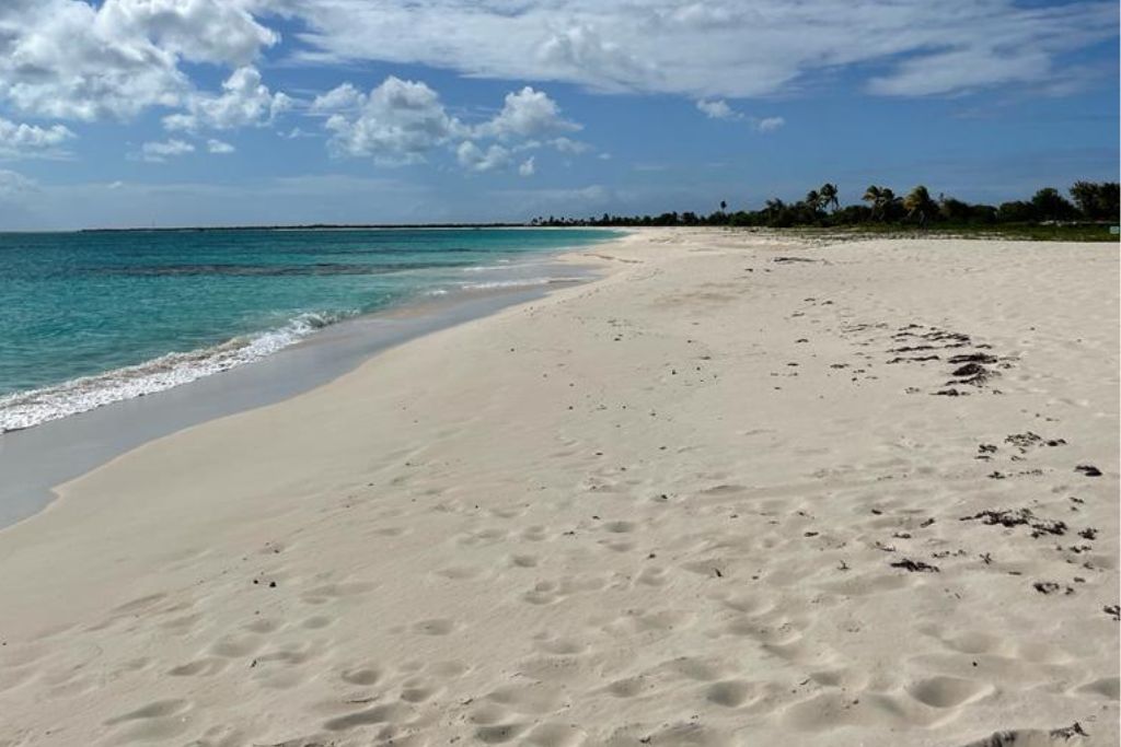 a white sand beach in antigua in the caribbean