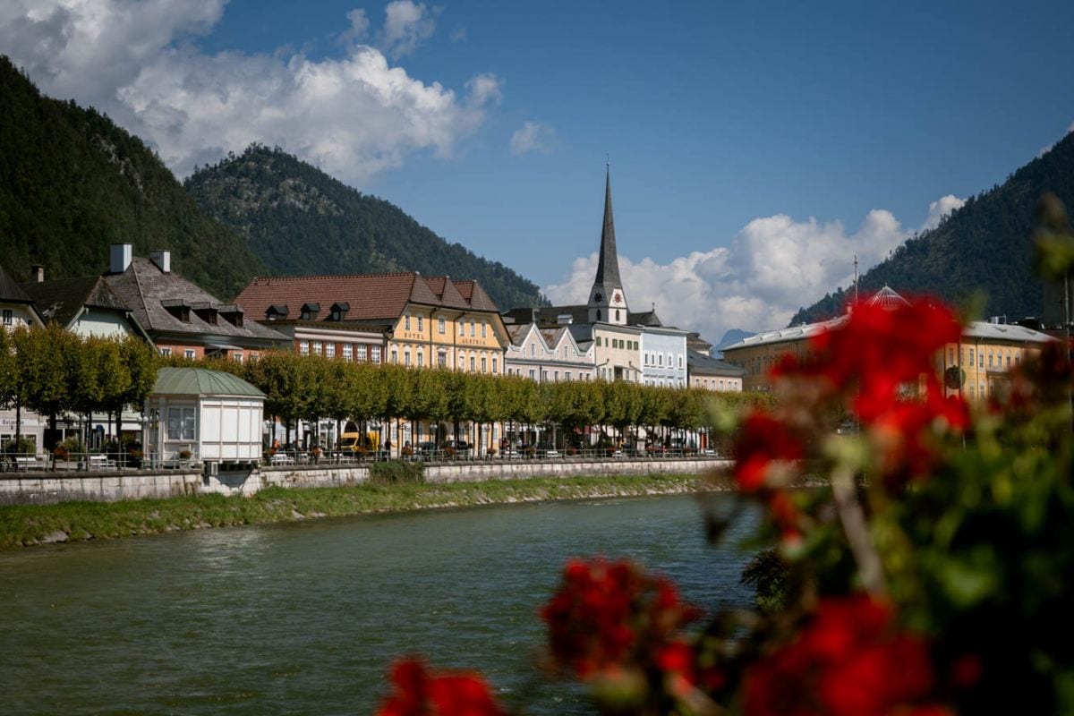 old colourful buildings along a river with red flowers in the foreground