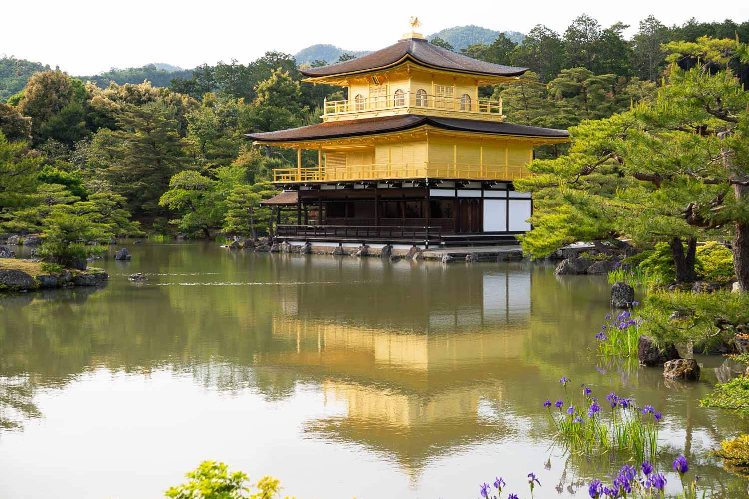 Kinkakuji temple in Kyoto is yellow and floats over the top of a lake