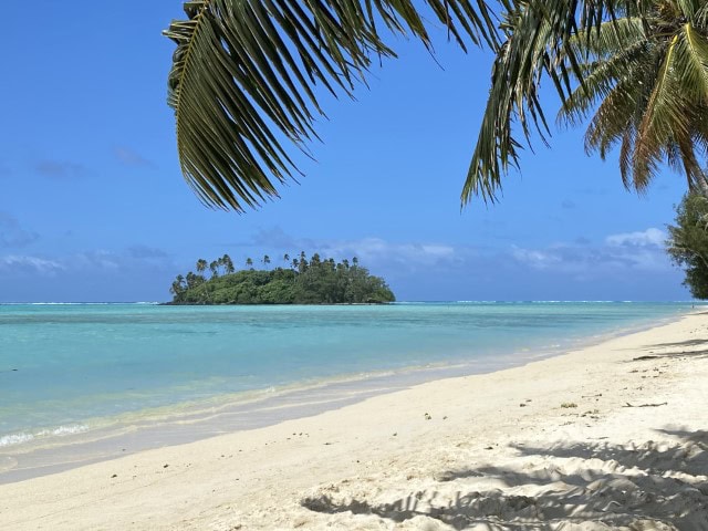 white sand beach with a mall island off the coast and palm frond
