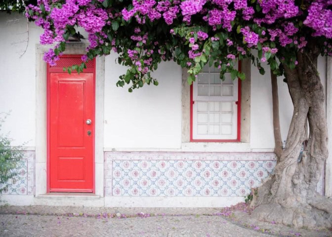 a white house with a red door with pink bougainvillea hanging from the roof