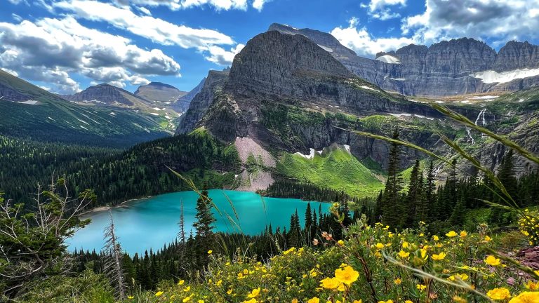 icy blue coloured lake with mountains and yellow flowers