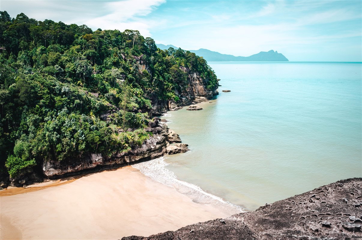 a sandy white beach surrounded by rainforest