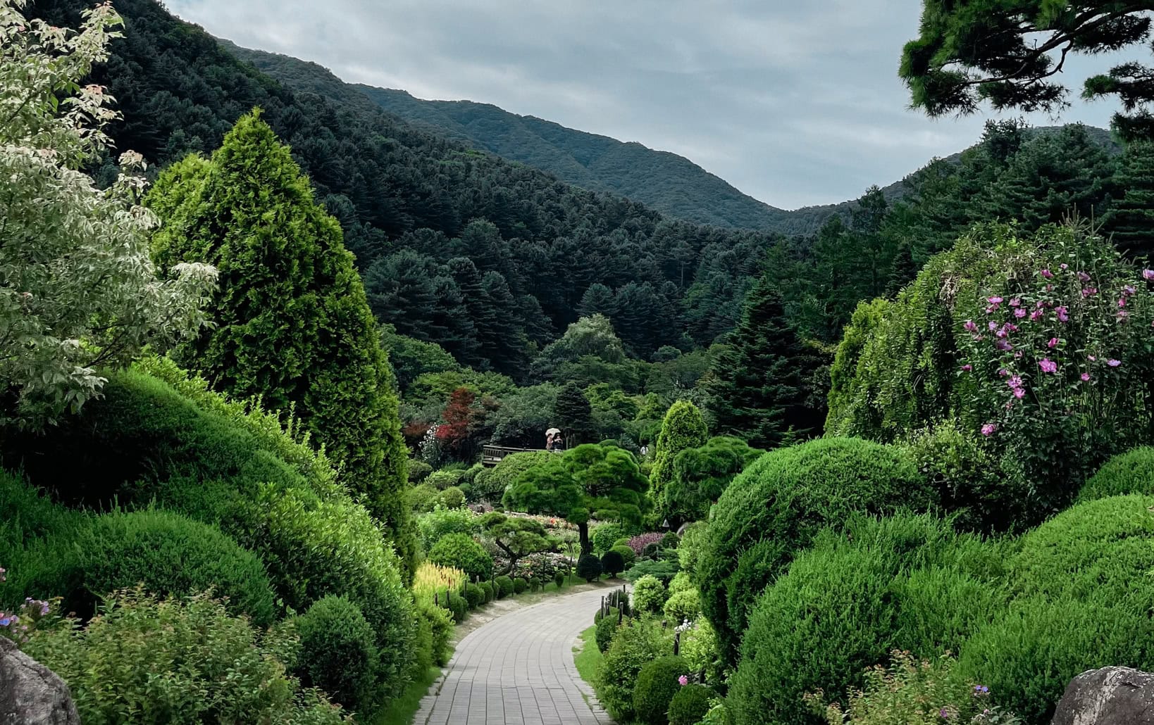 a beautiful green manicured garden with a path going through the centre