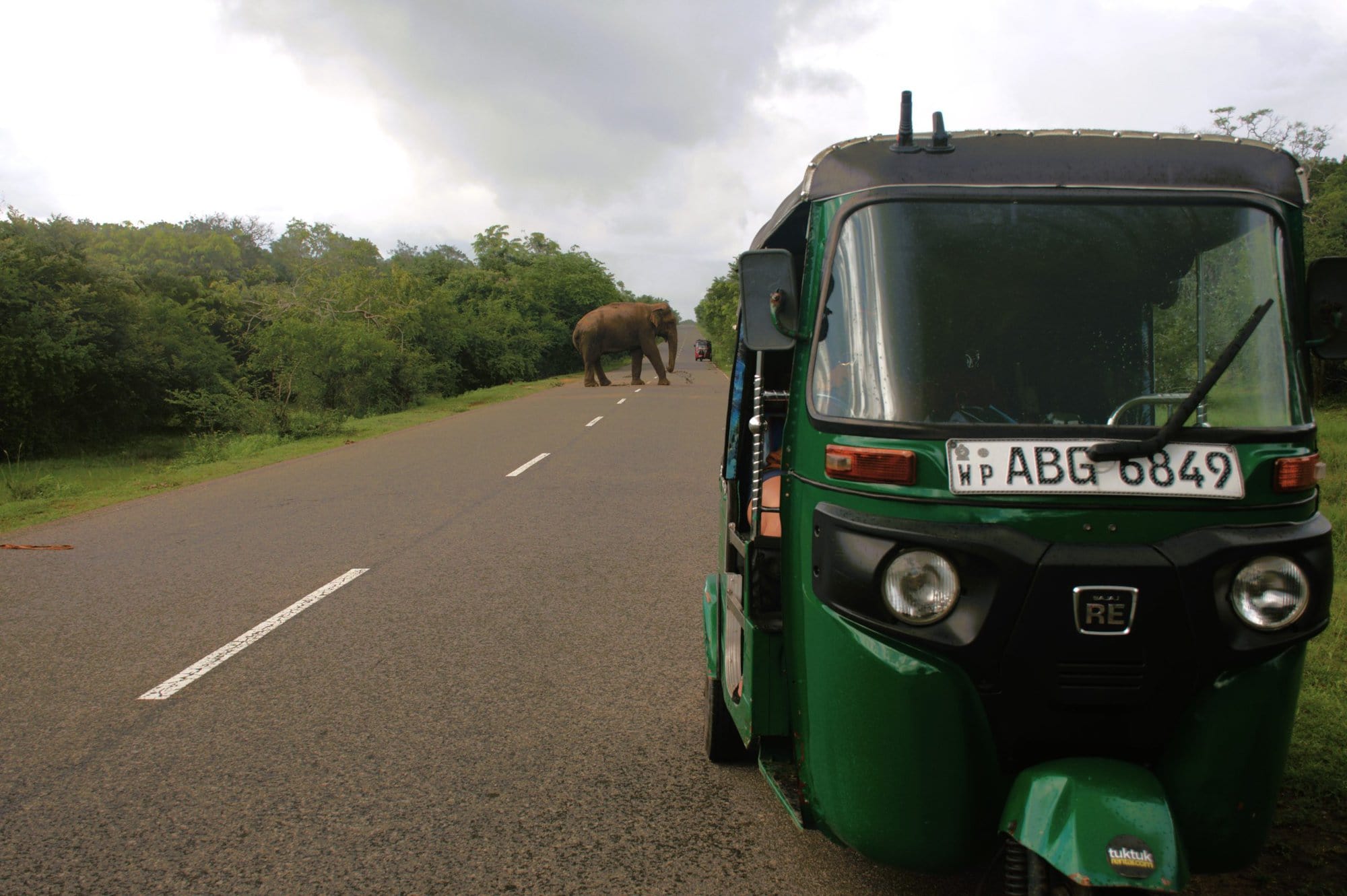 Driving a tuktuk with wild elephants on the B35 Road, near Yala National Park - Photo Credit: Wayward Wayfarer
