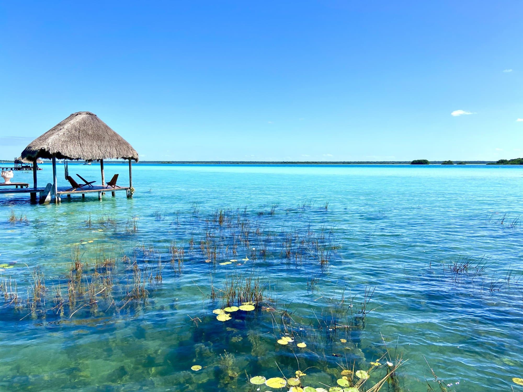 the amazing blue colours of Lake Bacalar / Lagoon of Seven Colours with yellow flowers in the forefront and a hut with deck chairs on the left