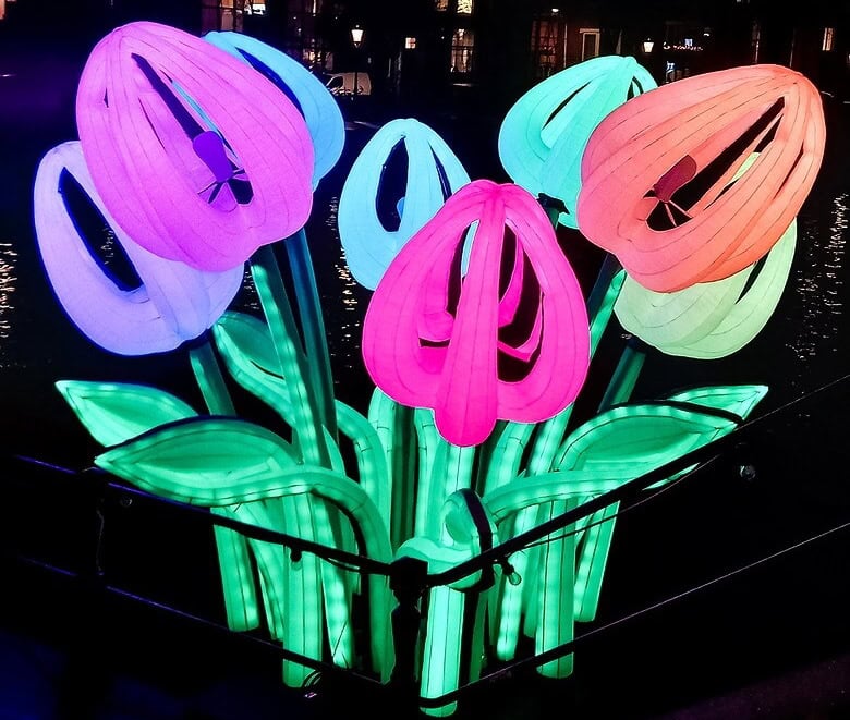 light display of tulips in amsterdam