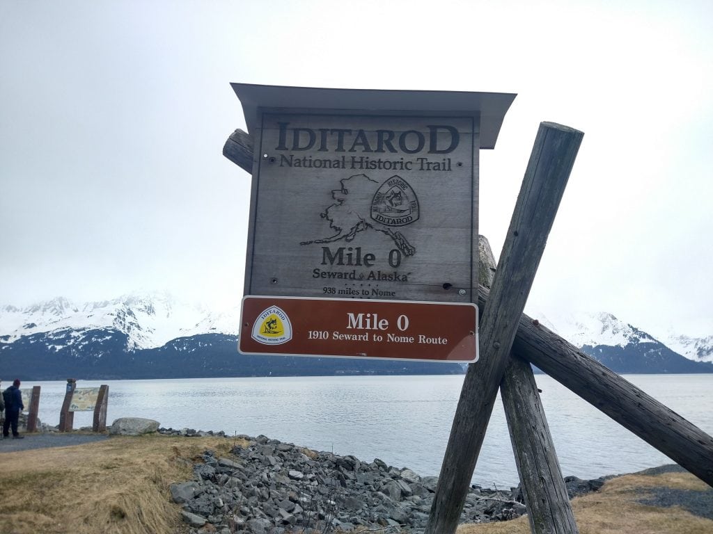 Dog sled racing at Iditarod festival in Alaska