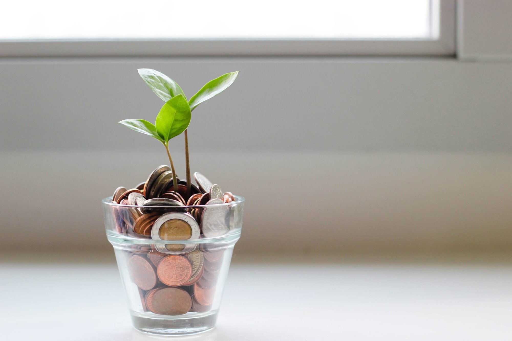 coins in a glass with a plant in it depicting financial freedom 