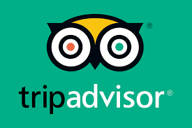TripAdvisor logo