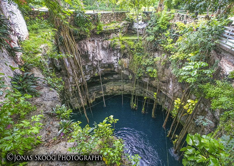 Cenote with clear blue water surrounded by lush jungle near Valladolid Mexico