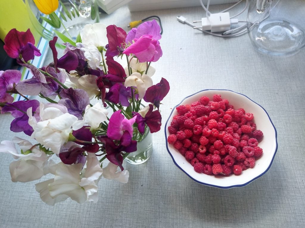 Picking wild raspberries and flowers in Sweden during a slower and more intentional travel experience.